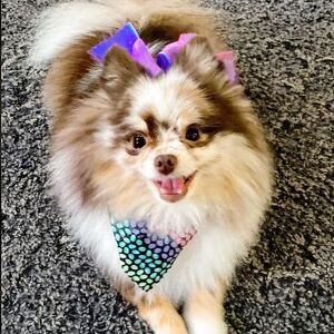 Fundraising Page: Aryn Alderman